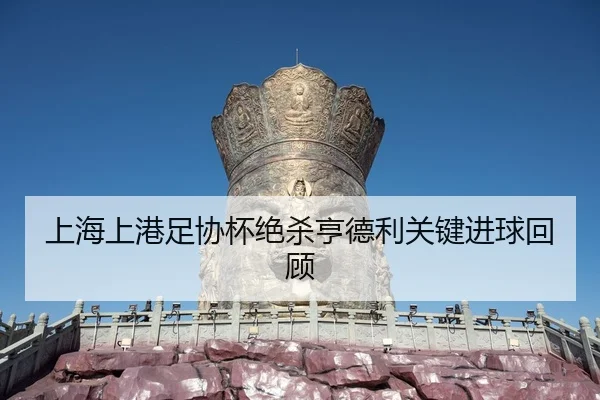 上海上港足协杯绝杀亨德利关键进球回顾